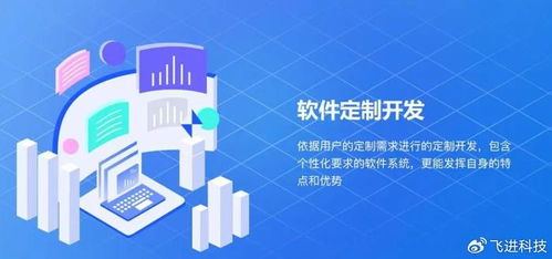 企业效能新高度 定制化软件开发 精准对接您的每一个需求